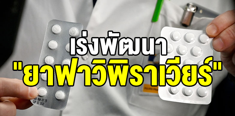 à¸­à¸‡à¸„ à¸à¸²à¸£à¹€à¸ à¸ª à¸Šà¸à¸£à¸£à¸¡ à¹€à¸£ à¸‡à¸ž à¸'à¸™à¸² à¸¢à¸²à¸Ÿà¸²à¸§ à¸ž à¸£à¸²à¹€à¸§ à¸¢à¸£ à¸£ à¸à¸©à¸² à¹‚à¸„à¸§ à¸