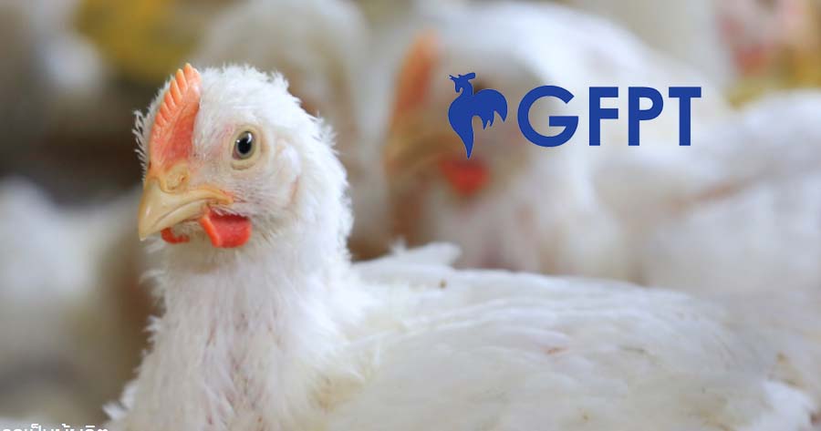 鶏肉価格の高騰と輸出の急増を受けて、GFPT は 3% 上昇し、今年の憶測は 9 倍に跳ね上がり、トップ 20 億に達しました。