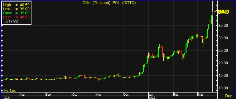 DITTO บวกต่อ 4% ลุ้น “โควิด” คลี่คลาย หนุนผลงานปีนี้โตต่อ