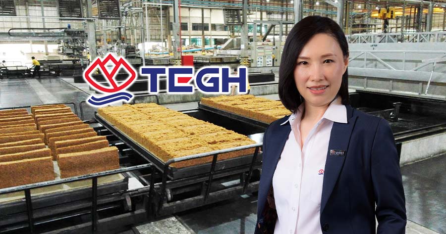 TEGH - ข่าวสาร - SETTRADE.COM - จุดประกายไอเดียที่ใช่ เพื่อการลงทุนใน ...