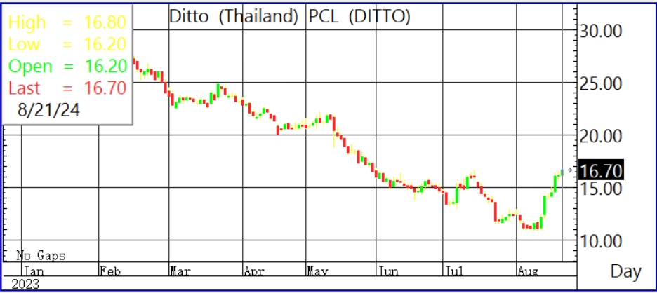 DITTO (Thailand) Stories Robust Progress and Optimism for Second Half of 2024 as Inventory Value Rises - News Directory 3