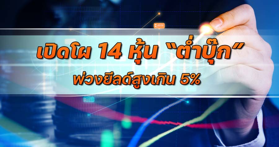 Unlock 14 Hidden Gems: 'Low Book' Stocks with Yields Above 5% - SIRI-SCB Takes Center Stage - News Directory 3